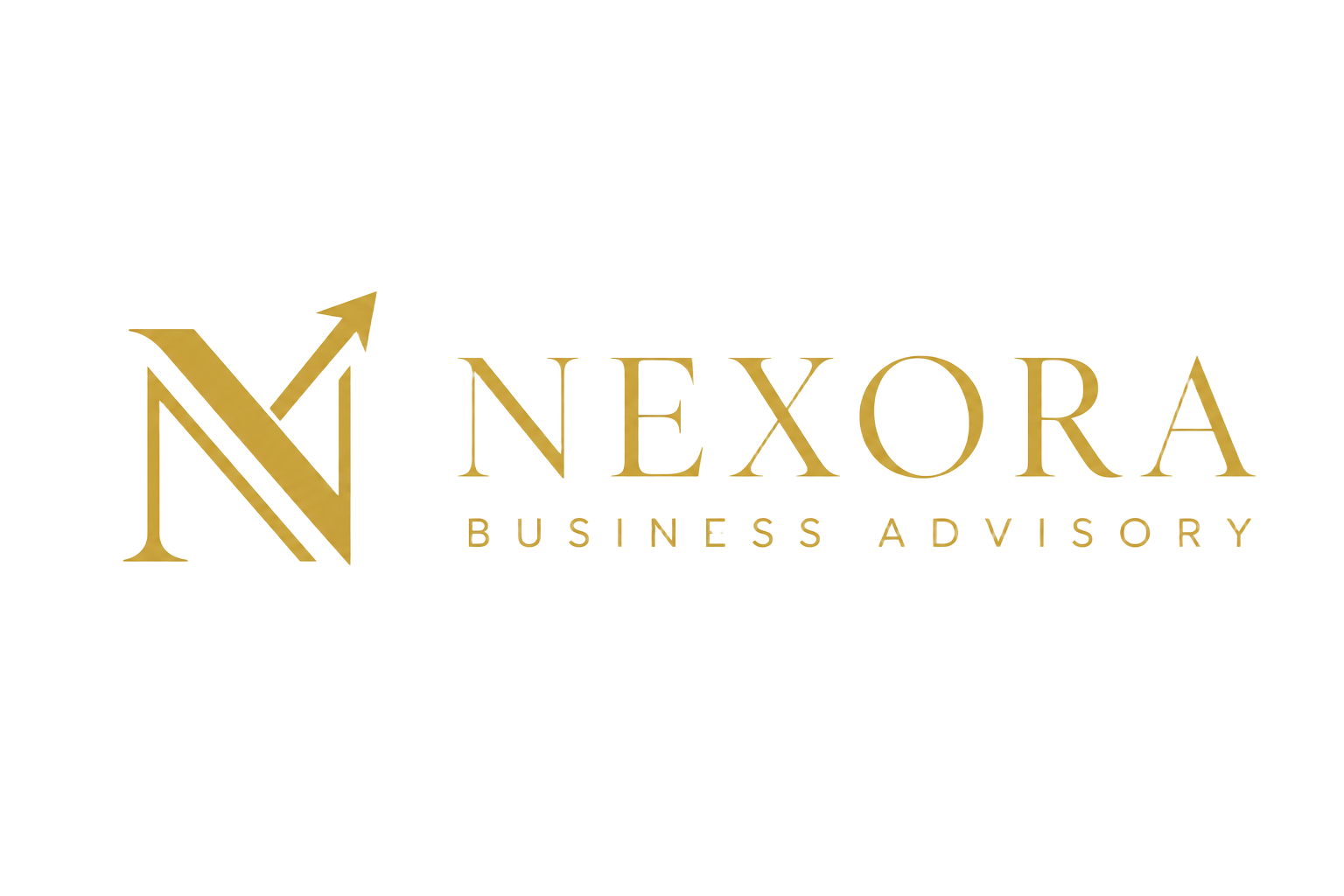 Nexora Business Advisory logo